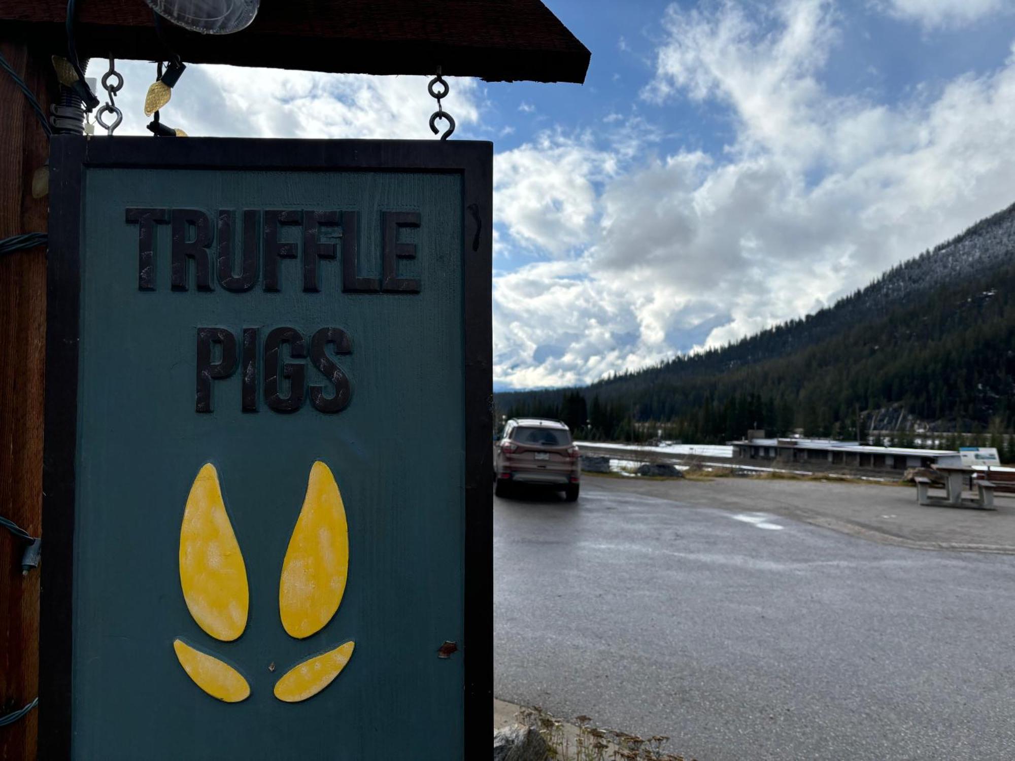 Truffle Pigs Lodge Field Exterior photo
